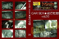CAR SEX ★夜行性物 30