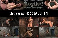 Orgsms Hogtied 14