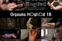 Orgsms Hogtied 16