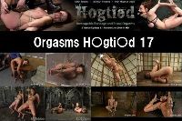 Orgsms Hogtied 17