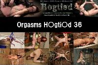Orgsms Hogtied 36