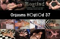 Orgsms Hogtied 37