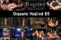 Orgsms Hogtied 85