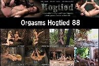 Orgsms Hogtied 88