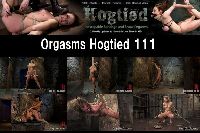 Orgsms Hogtied 111