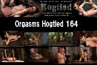 Orgsms Hogtied 164