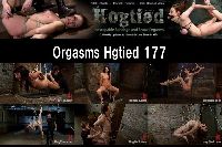 Orgsms Hogtied 177