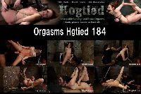 Orgsms Hogtied 184