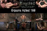 Orgsms Hogtied 188