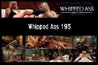 Whipped Ass 195