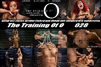 The Training of O 028
