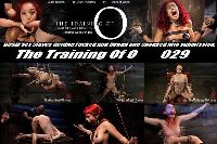 The Training of O 029