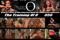 The Training of O 056