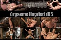 Orgsms Hogtied 195