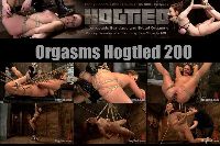 Orgsms Hogtied 200