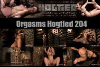 Orgsms Hogtied 204