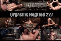 Orgsms Hogtied 227