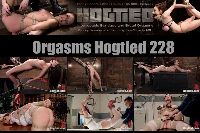 Orgsms Hogtied 228